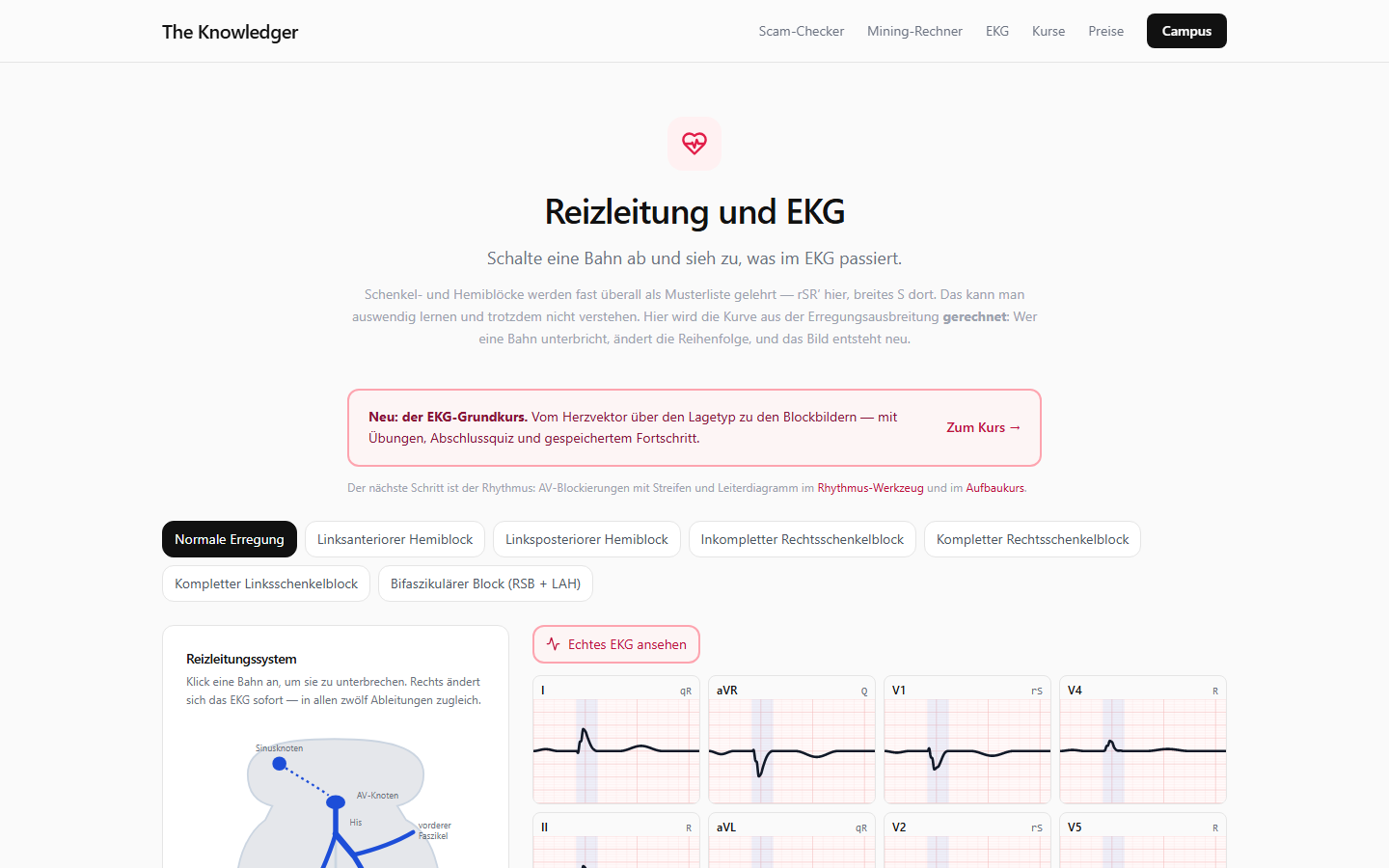 Werkzeug EKG: Reizleitung und Herzvektor